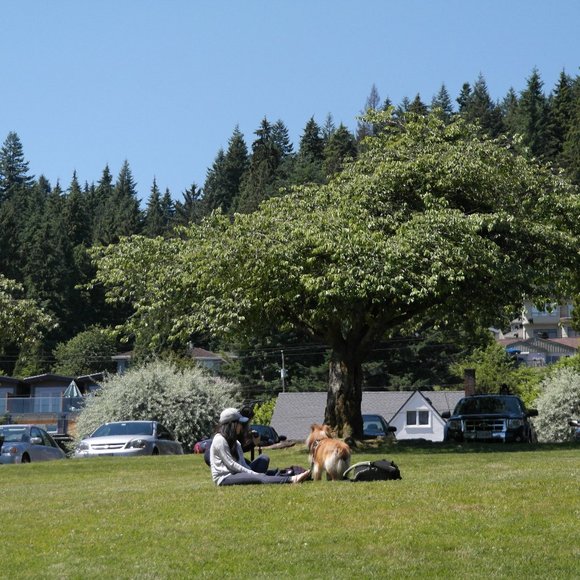 Meet your Posher! - Picture 2 of 2